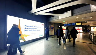 如果国宝会说话 一场跨越时空的文明对话在卢浮宫开启